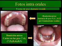 /album/fotogaleria/c9-png/